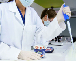 Al-Arz quality lab technician testing an ice cream sample